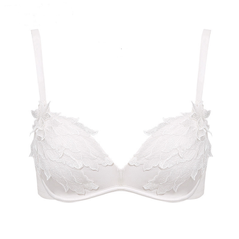 Title 3, Embroidered small chest gather bra