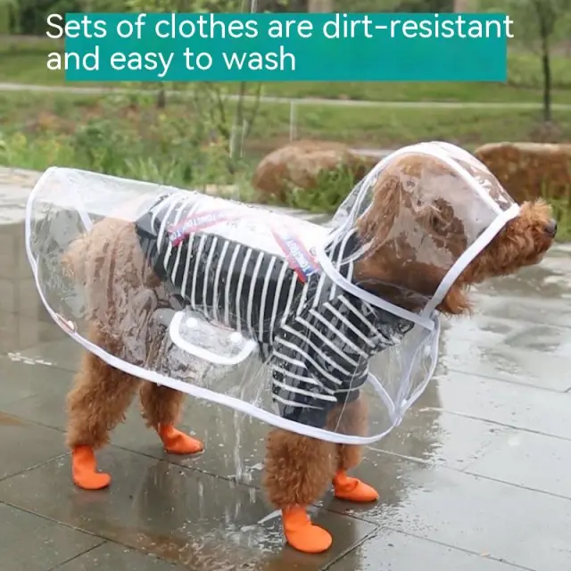 Pet Raincoat Dog Small Dog White - Shop at LoveMi
