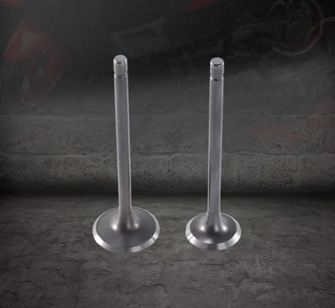 Motorcycle Engine Nose Alloy Parts Valve