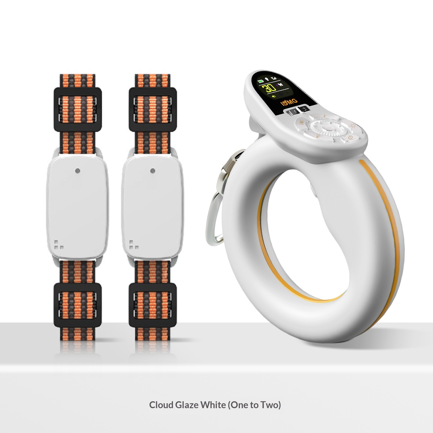 Smart Control Leash