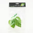 Color Cardboard Packaging