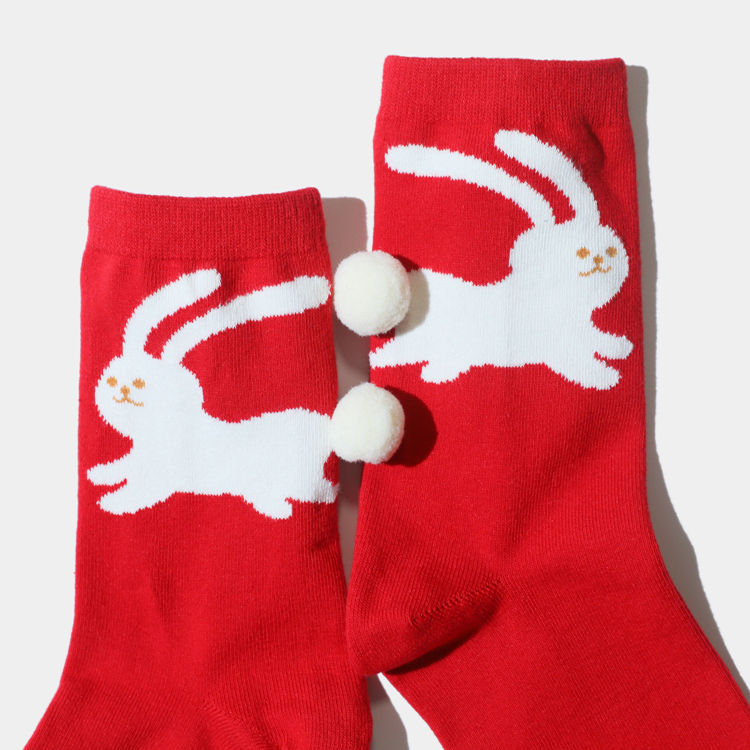 Year Of The Rabbit Good Luck Sweet