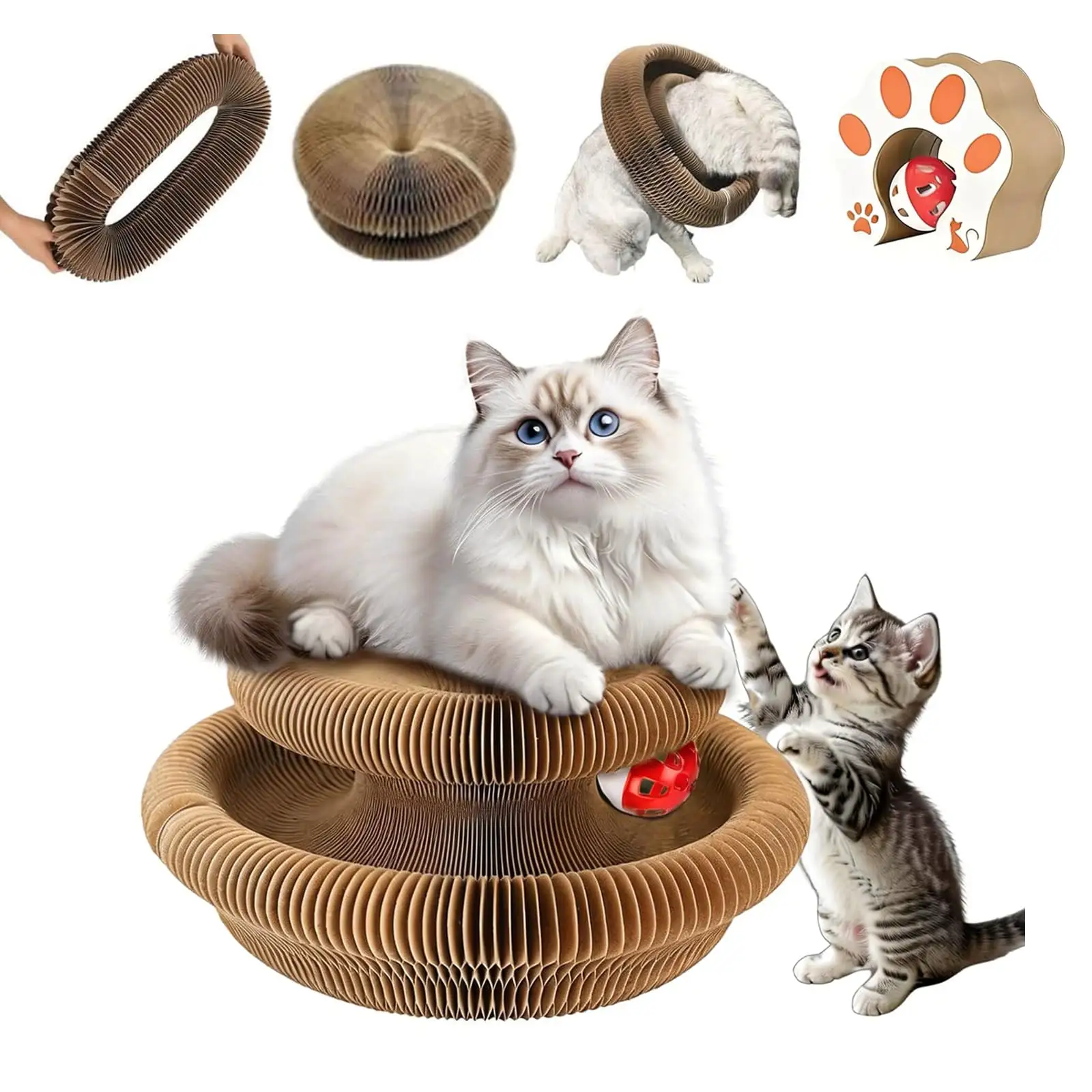 Cat Accordion Toy Kitty Kurlz Ball Scratch