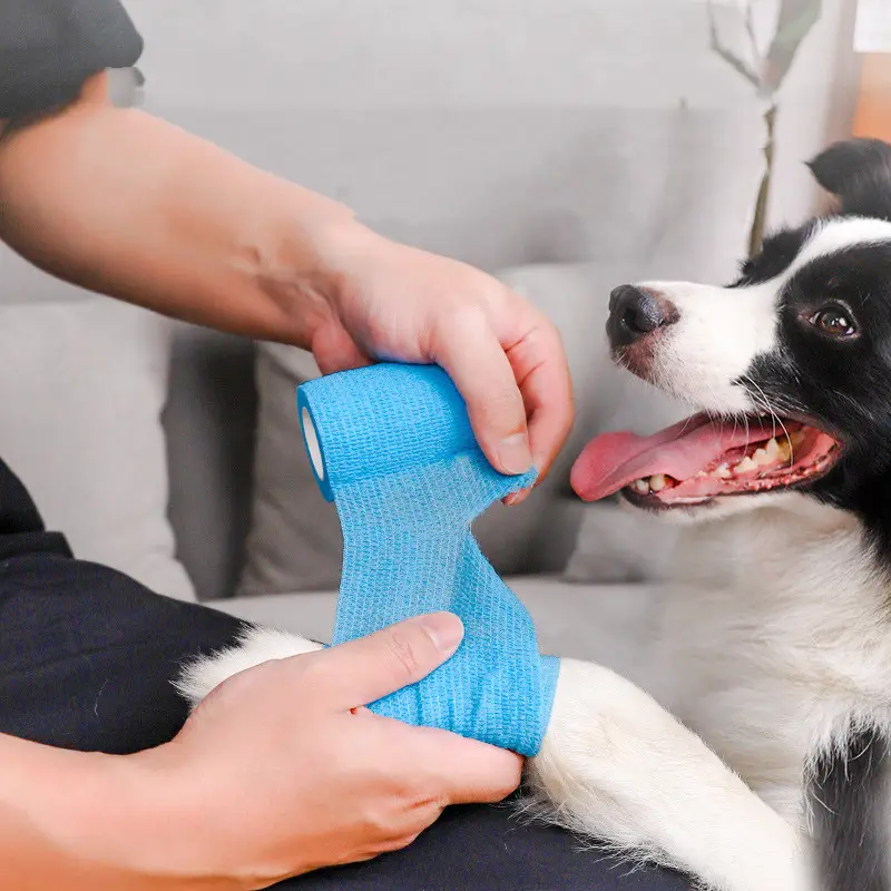 Pet Puppies Go Out To Prevent Dirt