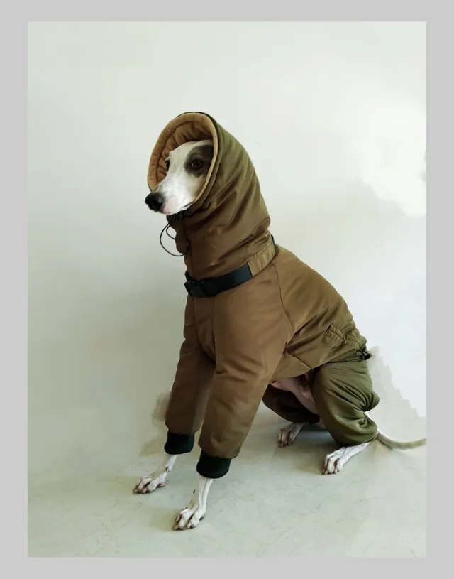 Winter Super Thick Four Leg Cotton Padded Clothes Army Green - Shop at LoveMi