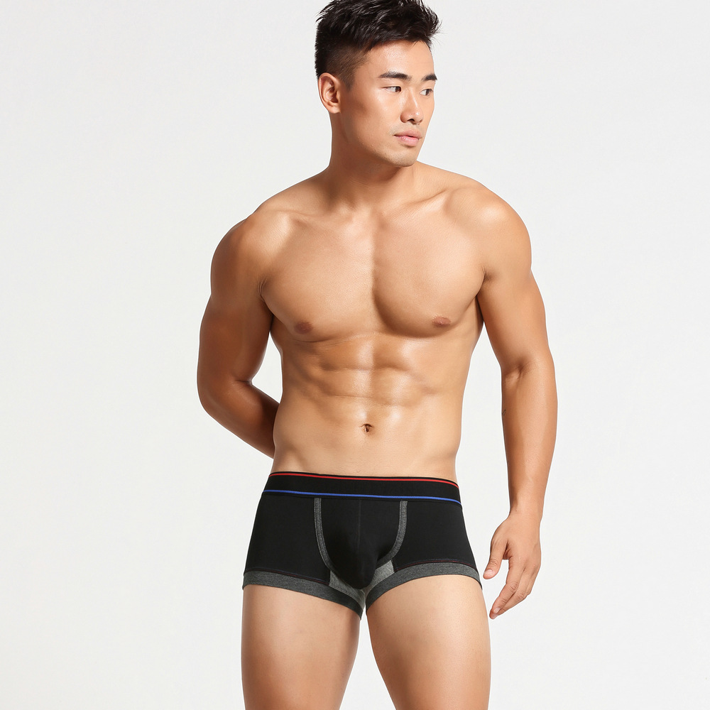 Title 14, Boxer en coton pour homme grande taille. Sous-v...