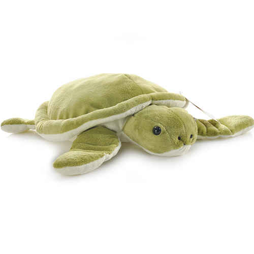 Turtle fifteen centimeters