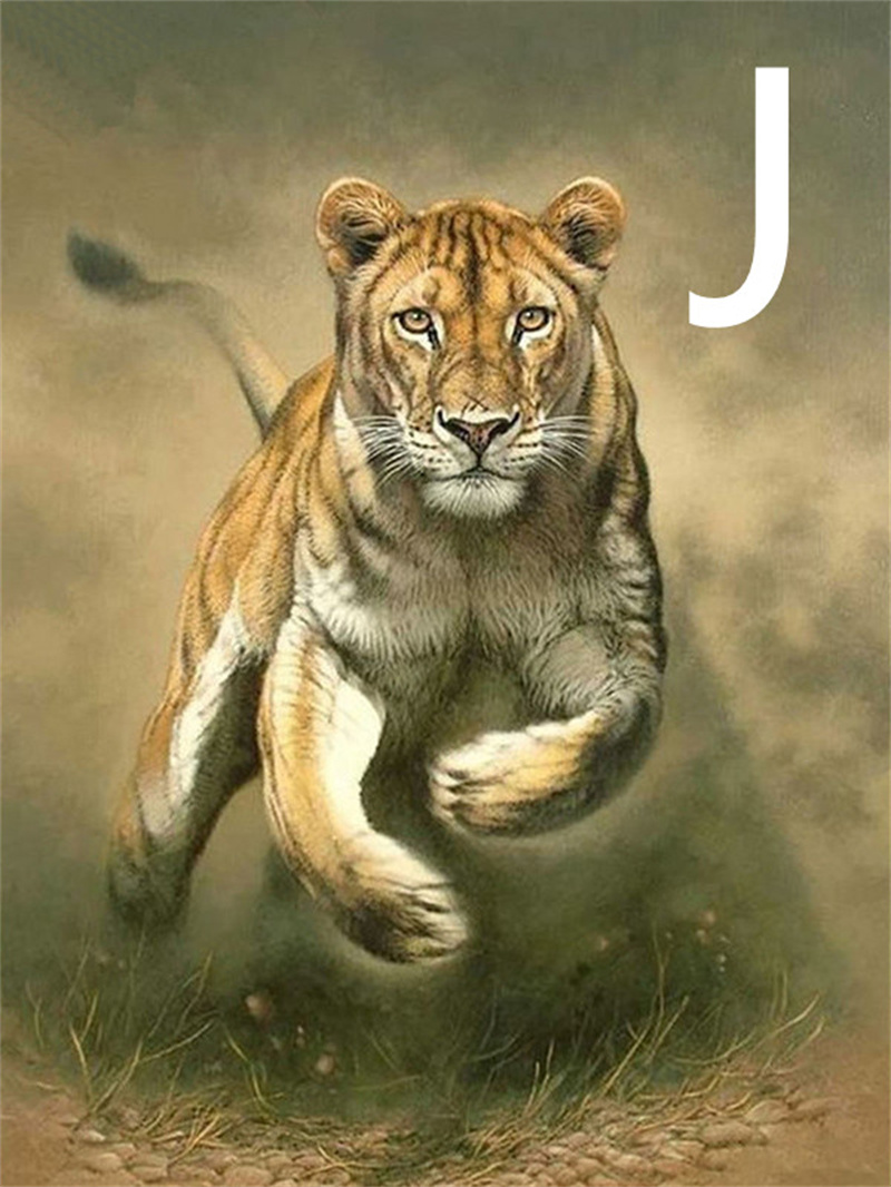 J