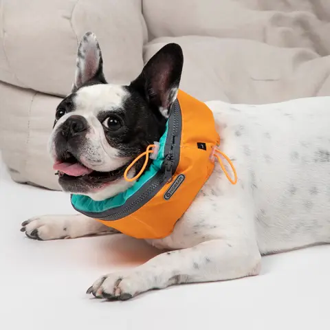 Summer Pet Dog Cooling Scarf to Go Out