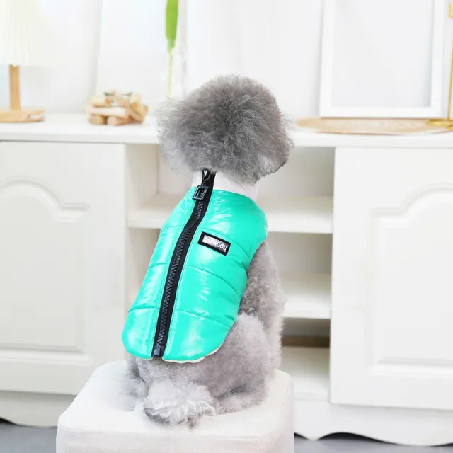 Pet Dog Clothes Small Winter Thickened Embossed Four Legs Green - Shop at LoveMi