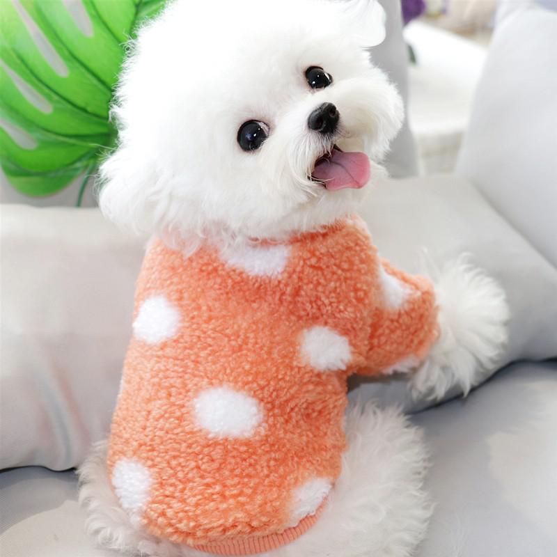 Title 2, Roupa para cães de pequeno porte Bichon, Pomera...