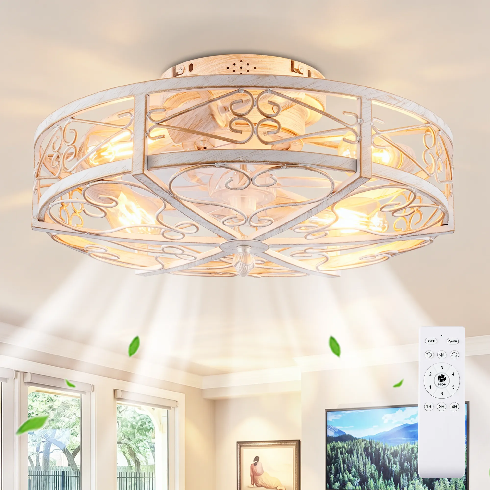 20in Mounting Type Caged Ceiling Fan