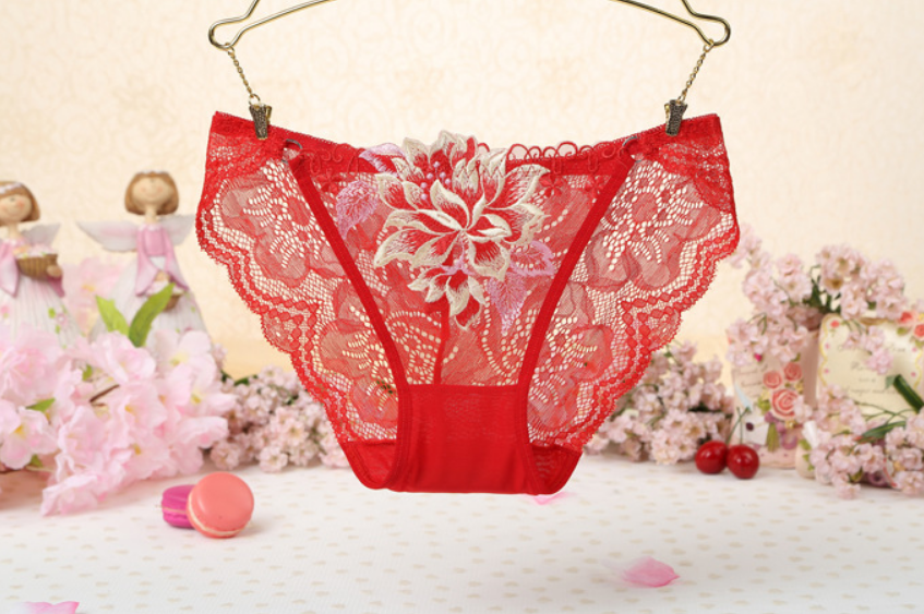 Title 7, Sexy Lace Low Waist Cute Embroidered Ladies Pan...