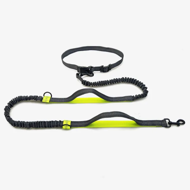 Multifunctional Running Reflective Double Telescopic Dog Leash Dog Chain Lead Rope D Fluorescent Green4210 - Shop at LoveMi