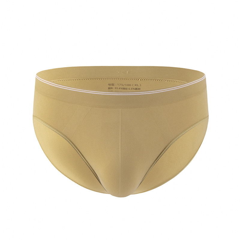Men's Nylon Ice Silk Light Brief Briefs