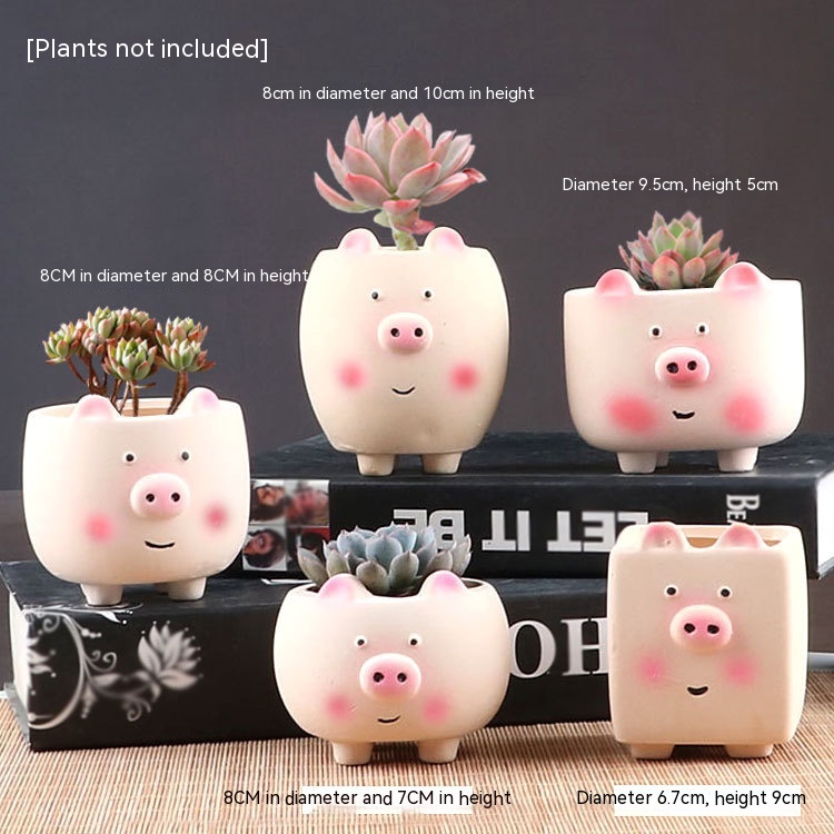 Camel Cute Pig Set 5