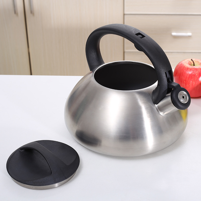 Title 3, Stainless Steel Whistle Kettle