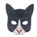 Cow Cat
