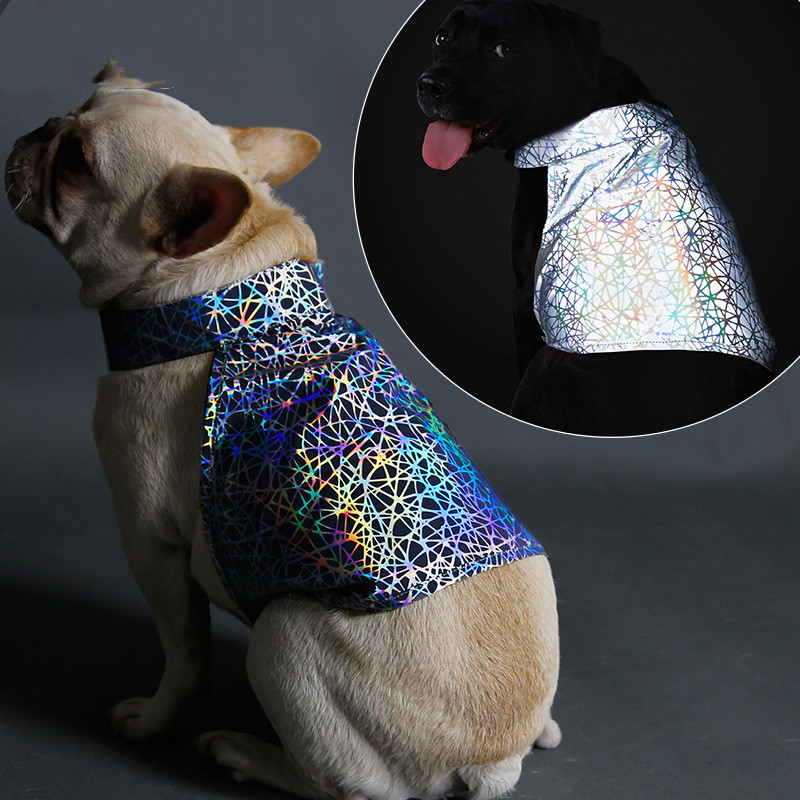 Title 4, Reflective pet clothing