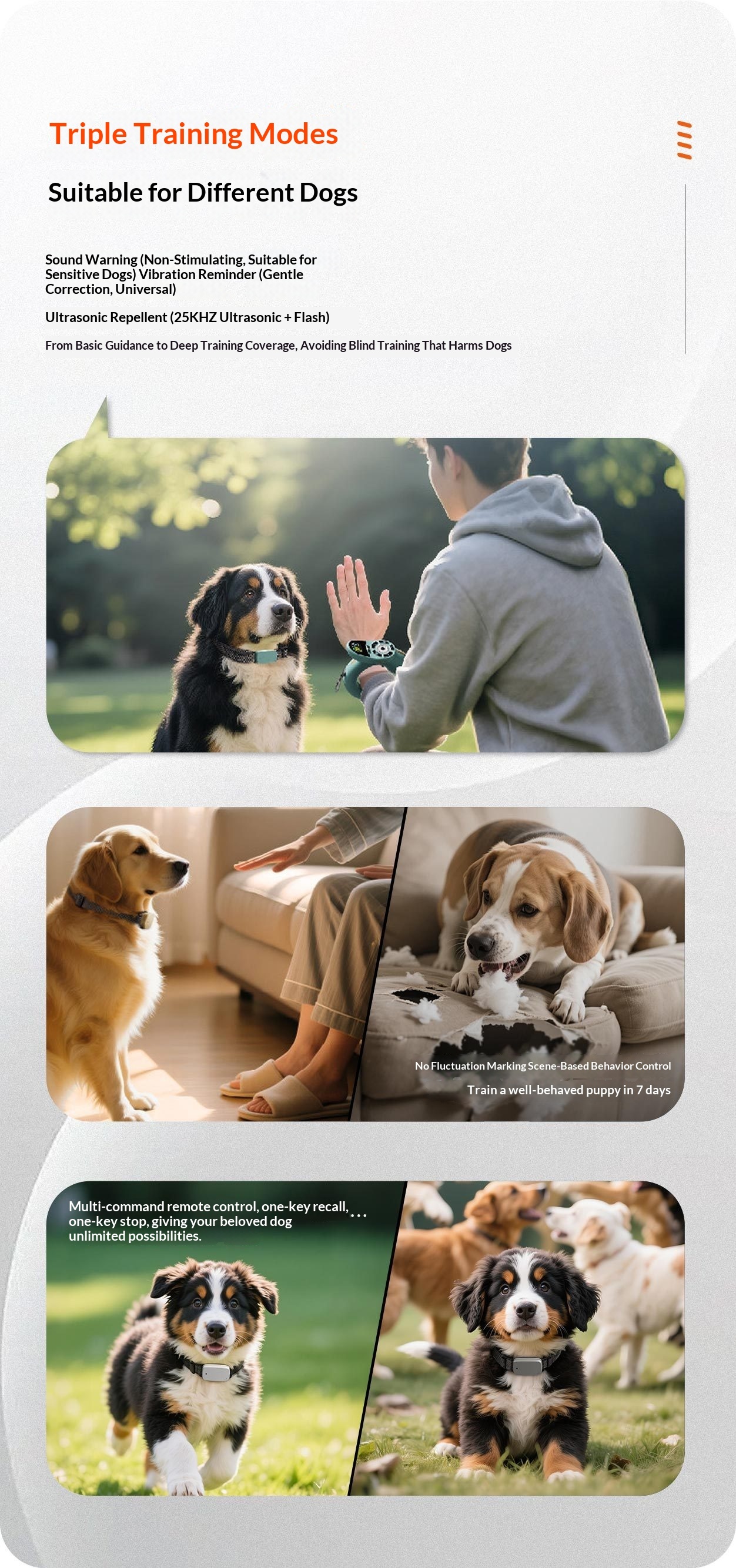 Smart Control Leash