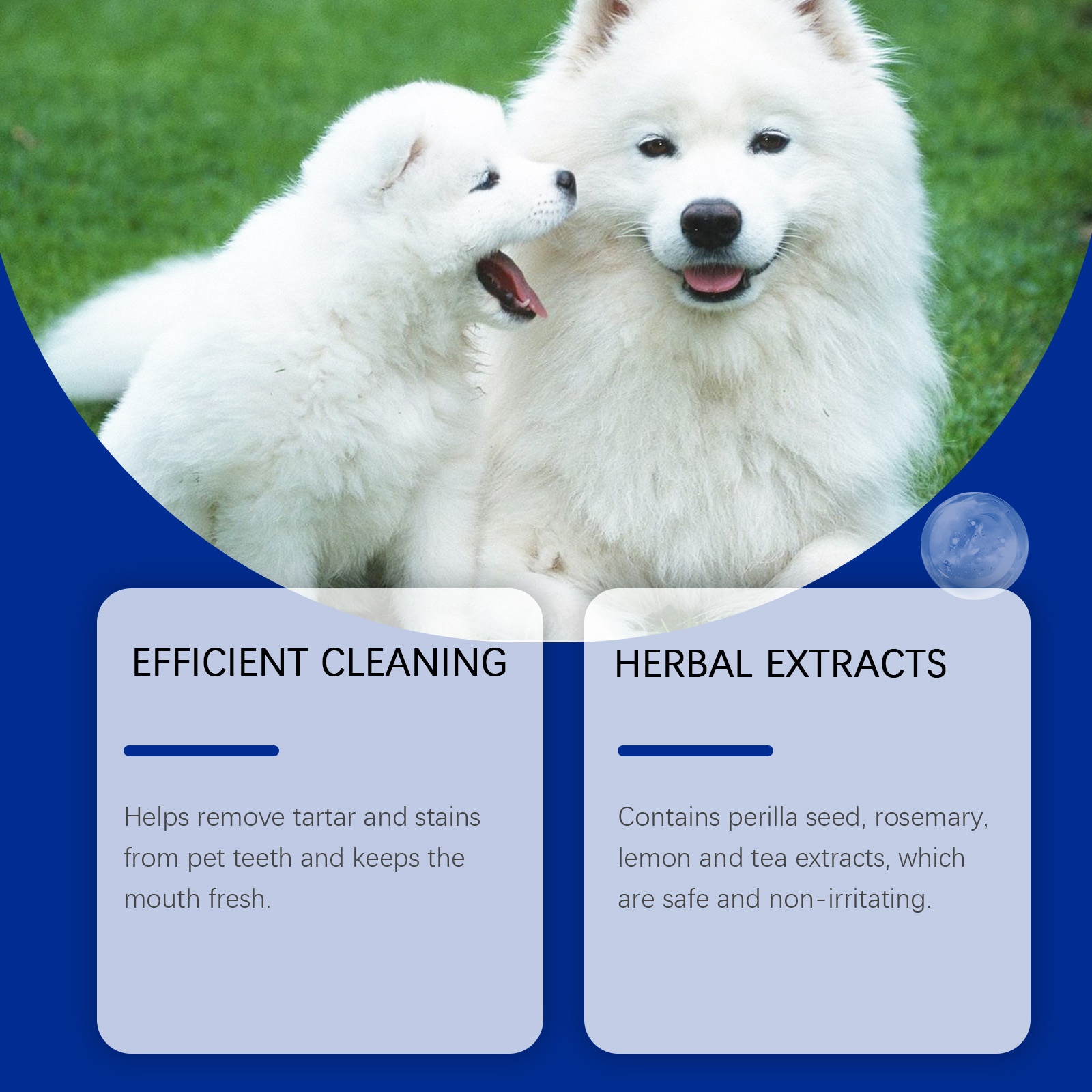 Dog Tooth Cleaning Powder 7