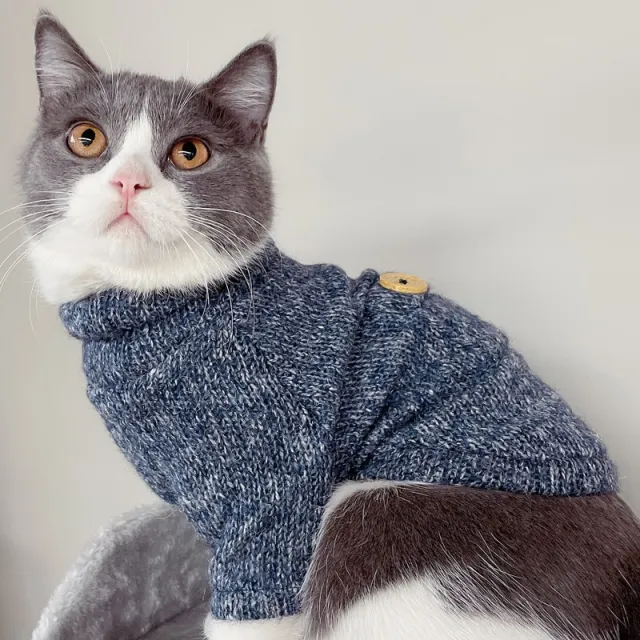 Clothes Fall Hair Fall Prevention Kitten Autumn And Winter Sweater Blue - Shop at LoveMi