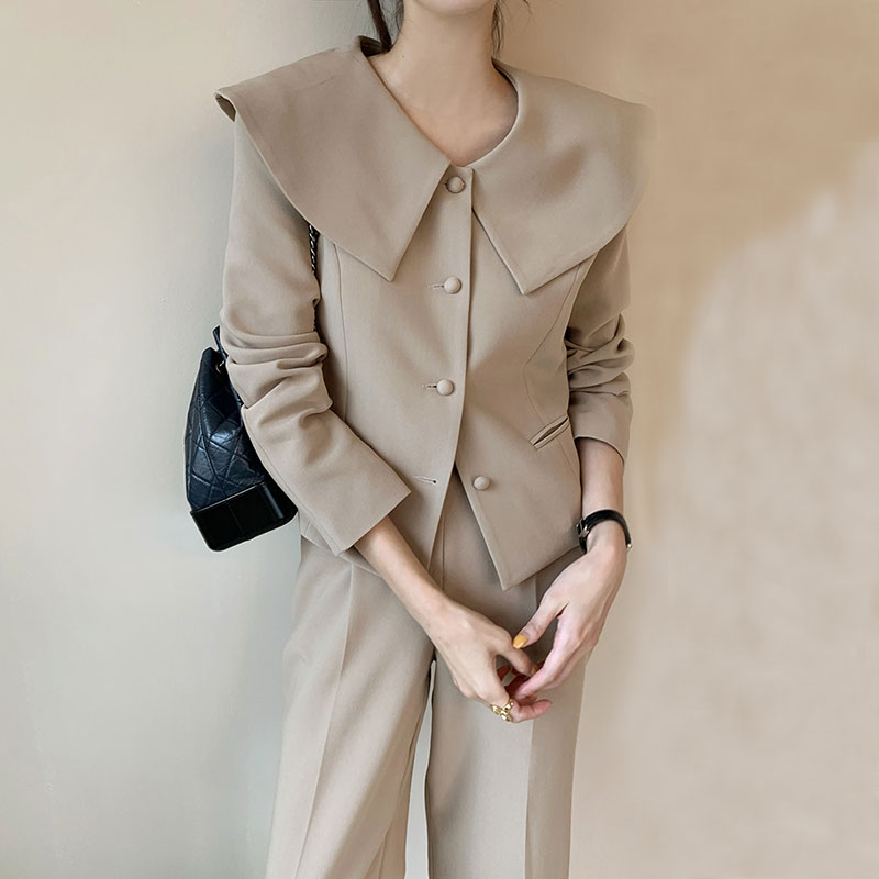 Simple Retro Temperament Big Lapel Long Sleeve Short Coat