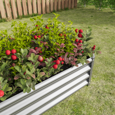 Galvanized Metal Raised Garden Bed