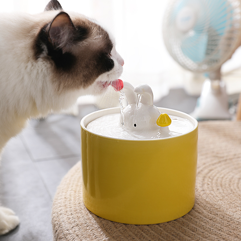 Lemon yellow water dispenser