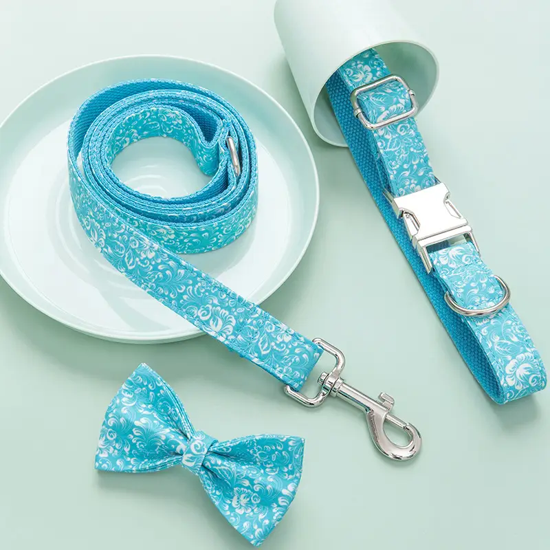Personalized Dog Collar Traction Rope Bow Set