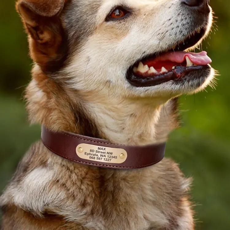 Genuine Leather Cow Engraved Anti Loss Dog