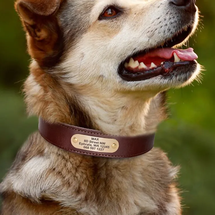 Genuine Leather Cow Engraved Anti Loss Dog Collar