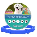 Big Dog Boxed Blue