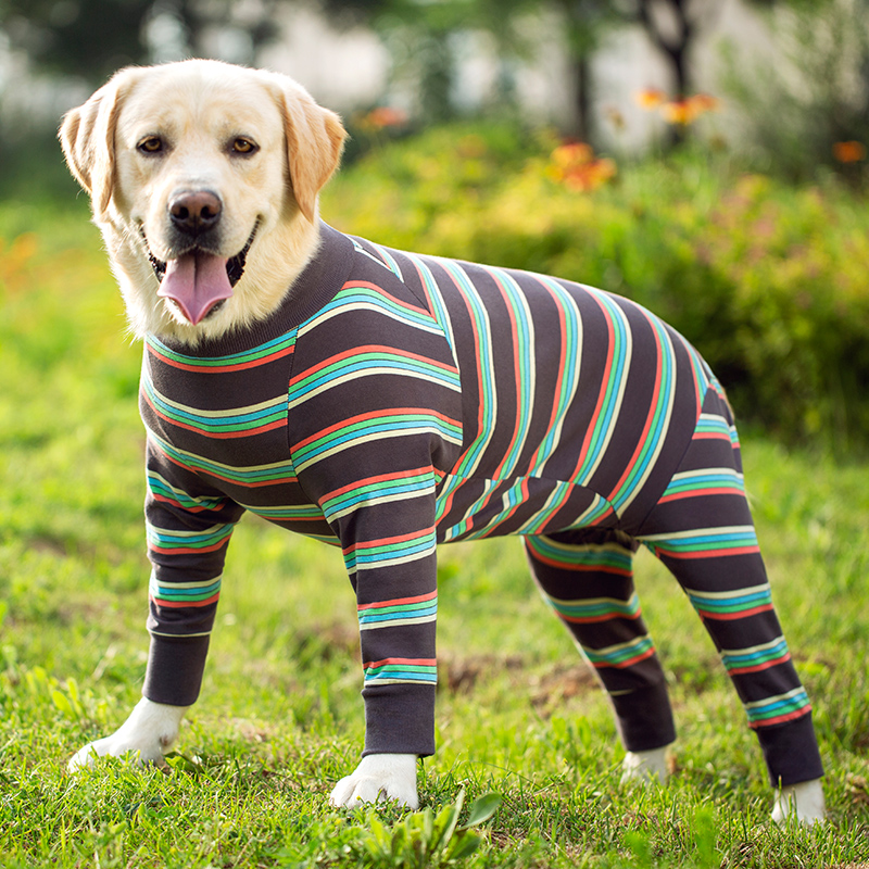 All-inclusive Belly Protector To Prevent Hair Loss