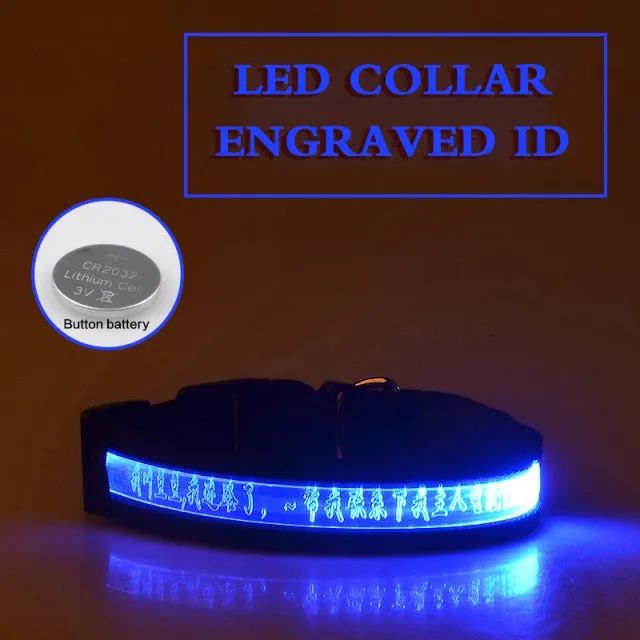 Pet Glow Collar Radium Carved Lettering Dog Collar Blue - Shop at LoveMi