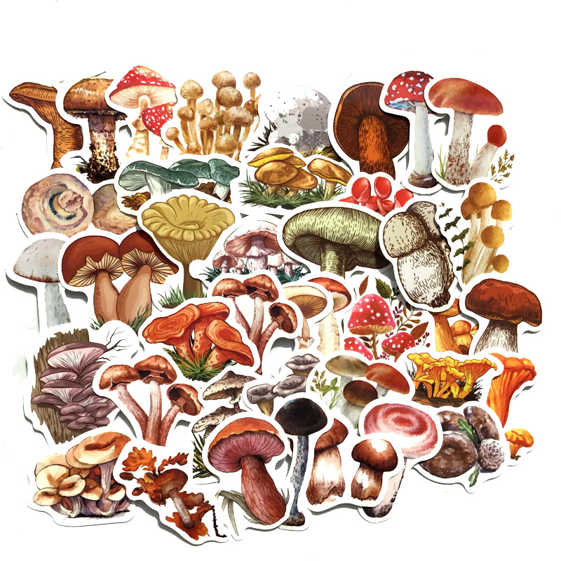 Various Types of Mushroom Stickers 40Pcs | Cute Waterproof