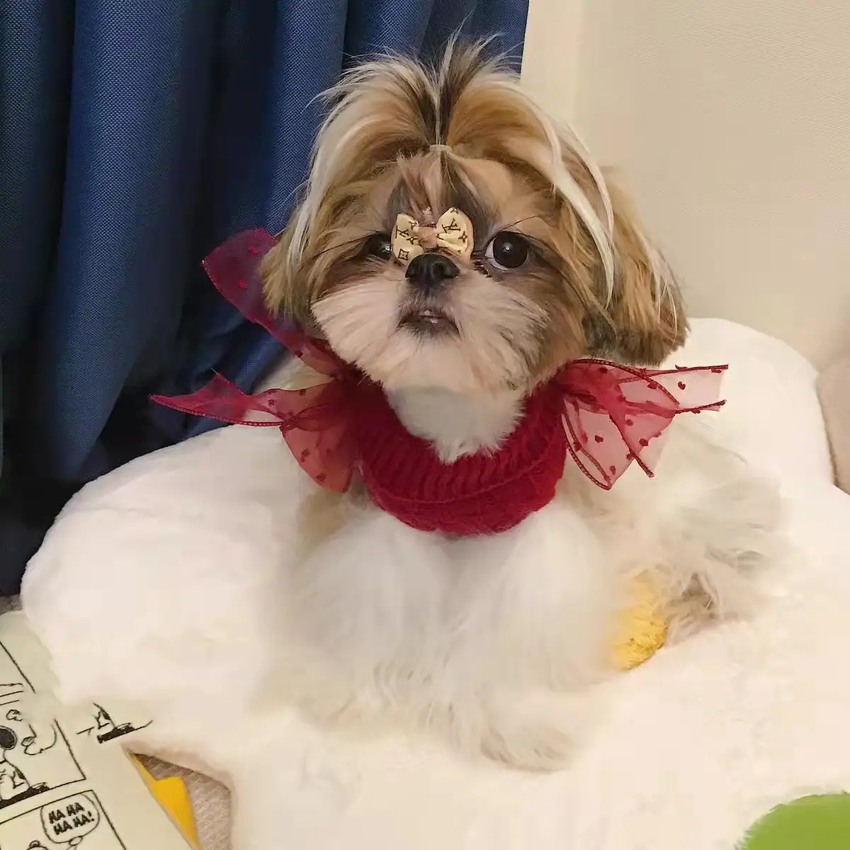 Pet Super Cute Sweater Warm In The New Year