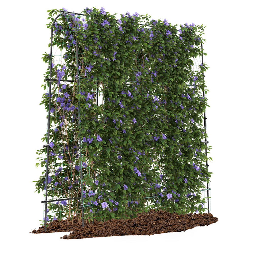 U-Shaped Garden Trellis, 71 Inch
