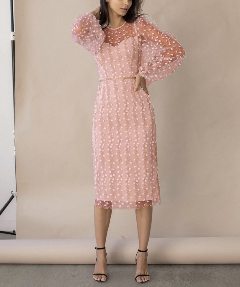 Embroidered Mesh Dress, picture 4 of 5