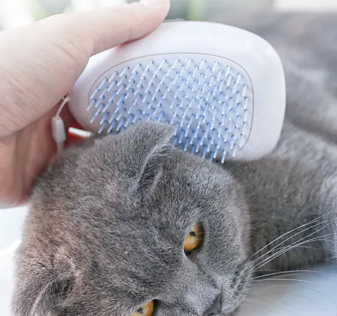 Brush Cat Hair White Pet