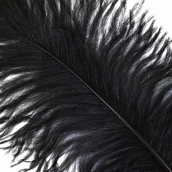 Ostrich Feather White Black Red Fluffy Feather For Wedding Party Black - Shop at LoveMi