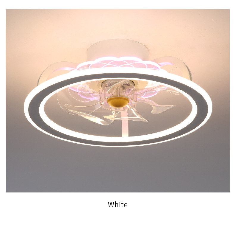 White circle color