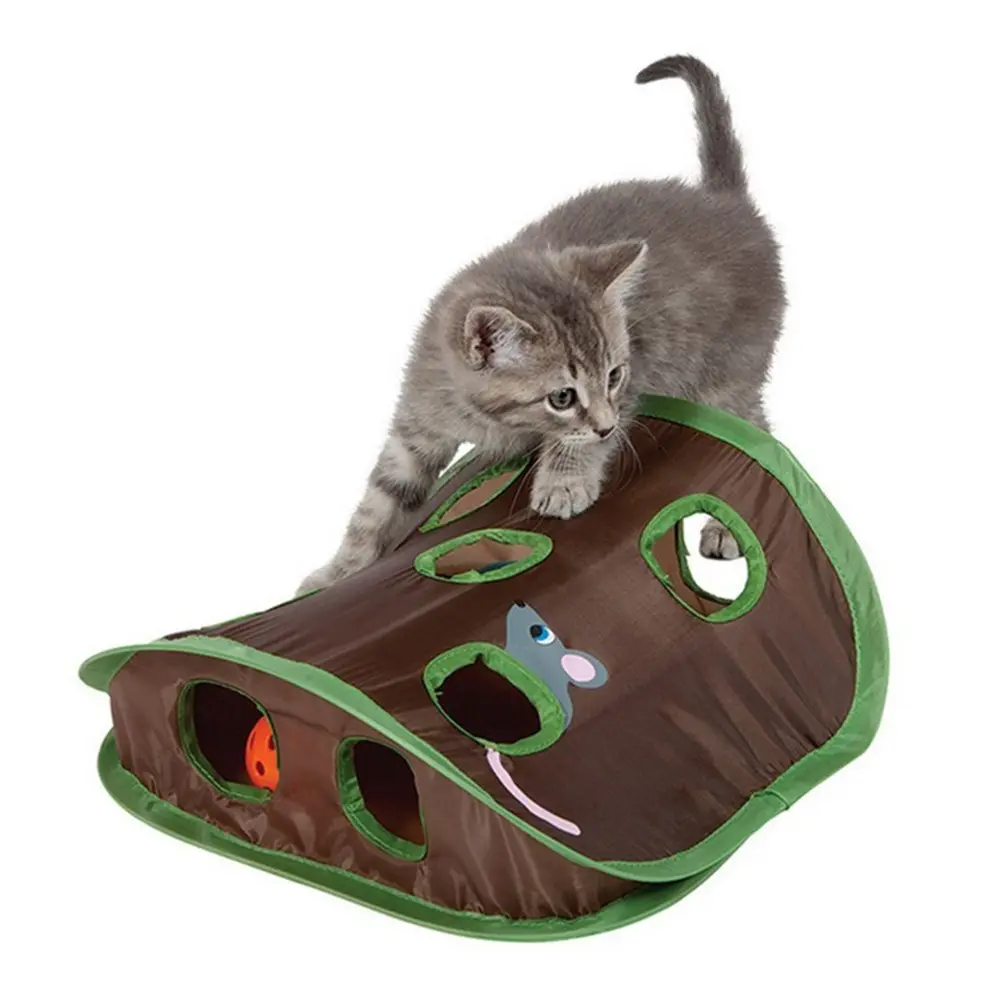 Cute Pet Cat Interactive Hide Seek Game