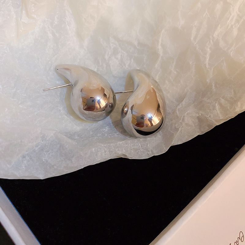 Sterling Silver Needle Round Hoop Earrings Minimalist Cold Style Luxury Ear Studs