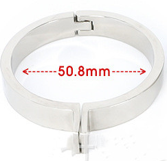 New Bird Cage Stainless Steel Chastity Lock 50Mm - Shop at LoveMi