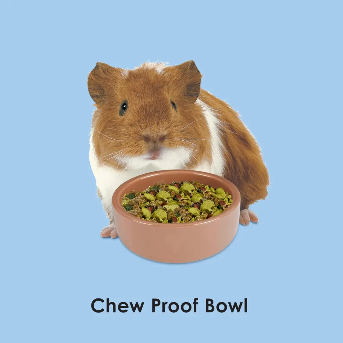 Ceramic Pet Hamster Bowl, Brown