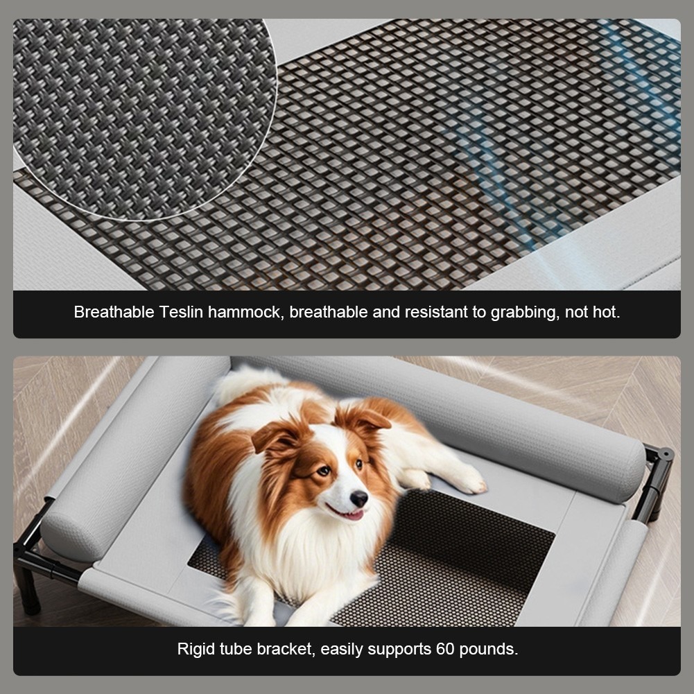 Orthopaedic Elevated Pet Dog Bed Raised Bolster Sofa With Cushion 8366cm UK — image 10