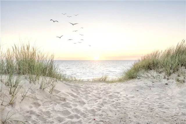 Scandinavian Living Room Art Portfolio Decorative Painting - Shop at LoveMi