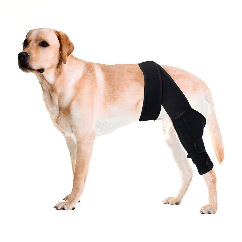 Dog Knee Brace For Torn ACL Hind Leg, Comfortable And Adjustable Support Brace With Two Stabilizer, Dog Leg Braces For Back Leg With Extra Support, Arthritis Relief And Surgery Recovery