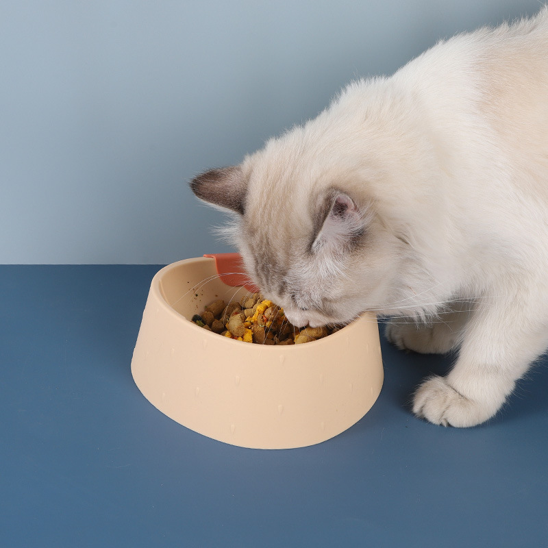 وعاء طعام للكلاب بتصميم فراولة كرتوني